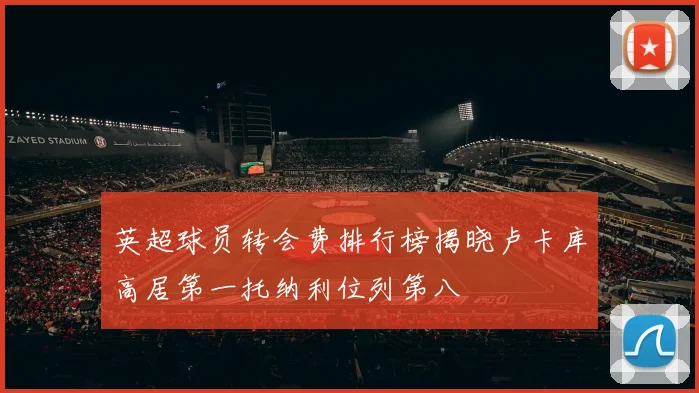 英超球员转会费排行榜揭晓卢卡库高居第一托纳利位列第八