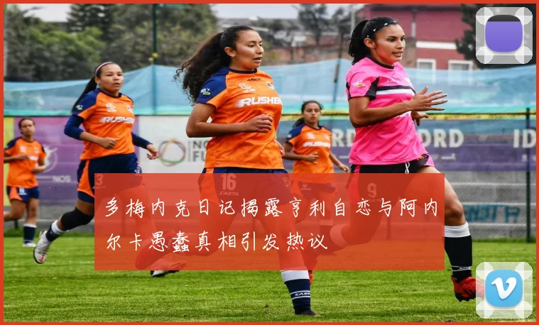 多梅内克日记揭露亨利自恋与阿内尔卡愚蠢真相引发热议